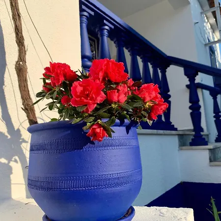 A Alma Portuguesa Guest house *
