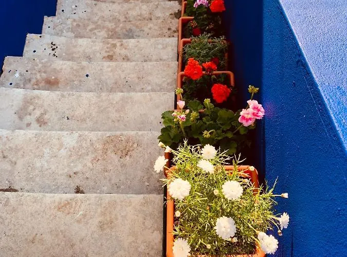 Casa de hóspedes A Alma Portuguesa 4*