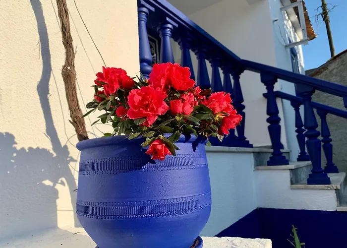 A Alma Portuguesa Casa de hóspedes 4*